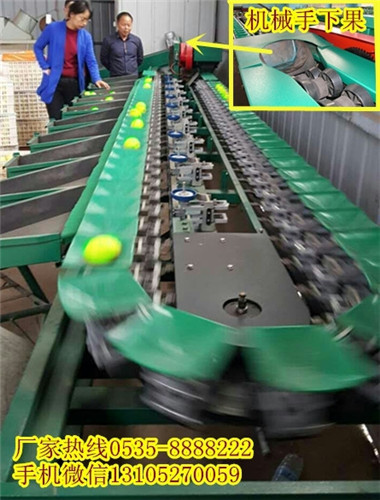青棗分選機(jī)廠家聯(lián)系方式圖片