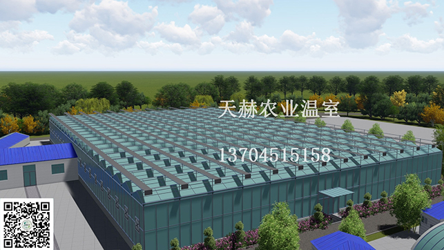PC陽(yáng)光板-玻璃溫室大棚圖片/PC陽(yáng)光板-玻璃溫室大棚樣板圖 (1)