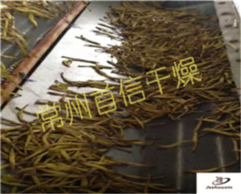 常州首信干燥黃花菜烘干設(shè)備圖片