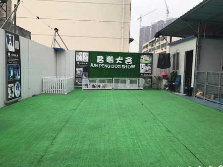 渦輪 對(duì)外借配圖片/渦輪 對(duì)外借配樣板圖 (4)