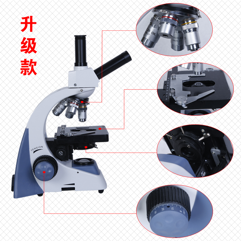 生物顯微鏡圖片/生物顯微鏡樣板圖 (3)