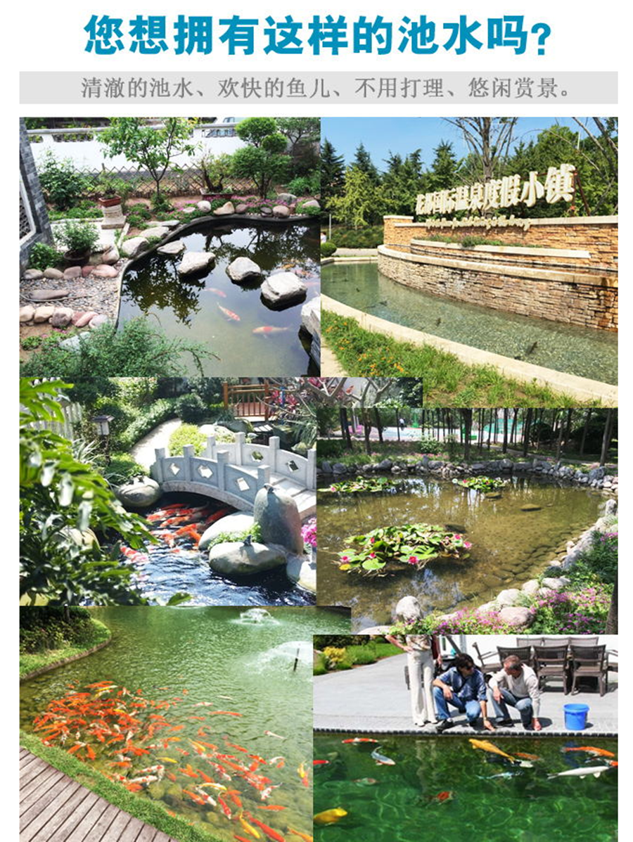 長沙別墅魚池制作庭院魚池水處建造圖片