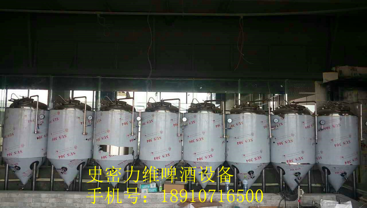 精釀啤酒設(shè)備圖片/精釀啤酒設(shè)備樣板圖 (3)