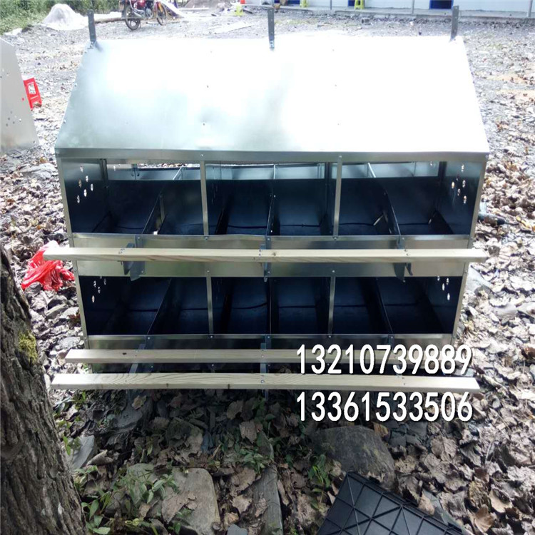 蛋雞用圖片/蛋雞用樣板圖 (1)