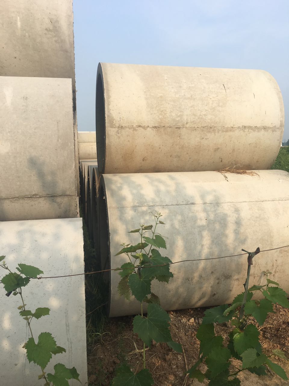 水泥管制品-舞鋼水泥管-排水管-水泥排水管-哪里有