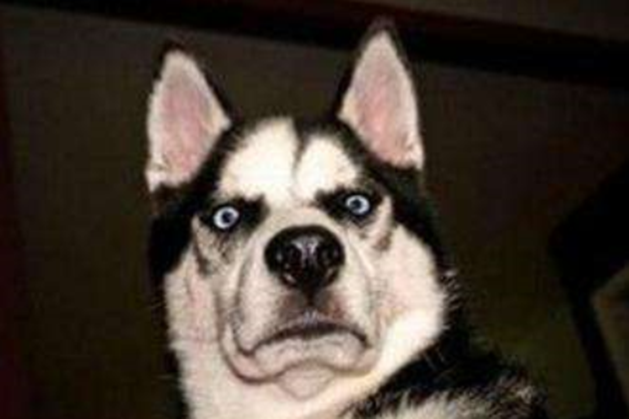 裝修公司圖片/裝修公司樣板圖 (3)