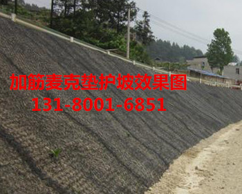 加筋麥克墊圖片/加筋麥克墊樣板圖 (4)