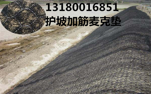 加筋麥克墊圖片/加筋麥克墊樣板圖 (3)