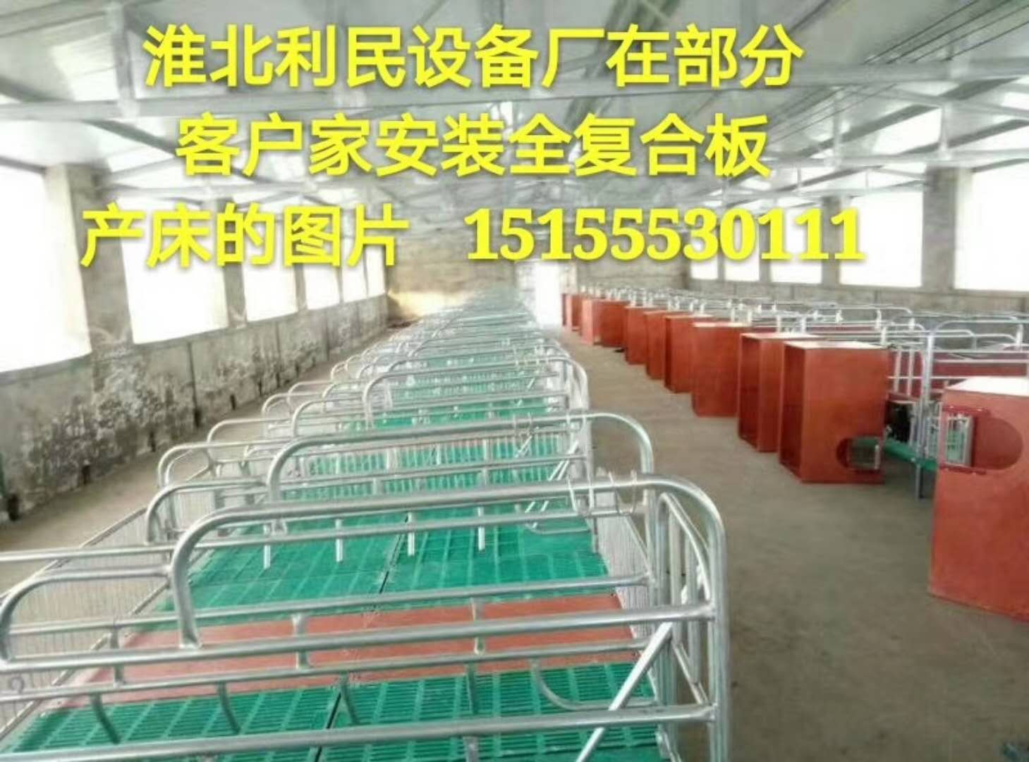 養(yǎng)豬產(chǎn)床設(shè)備價(jià)格圖片/養(yǎng)豬產(chǎn)床設(shè)備價(jià)格樣板圖 (3)
