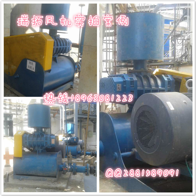 5口徑圖片/5口徑樣板圖 (2)