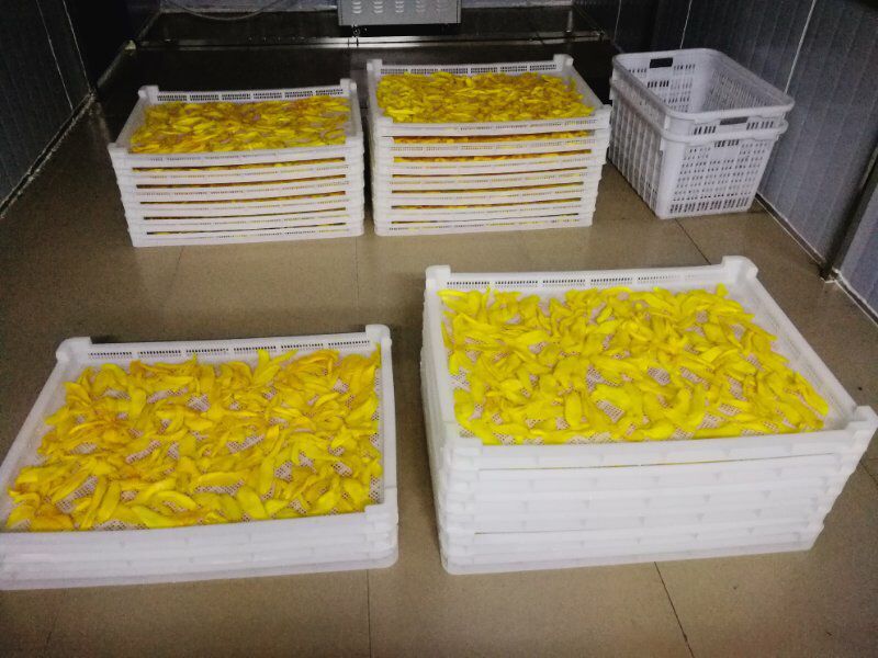 進口芒果干圖片/進口芒果干樣板圖 (2)