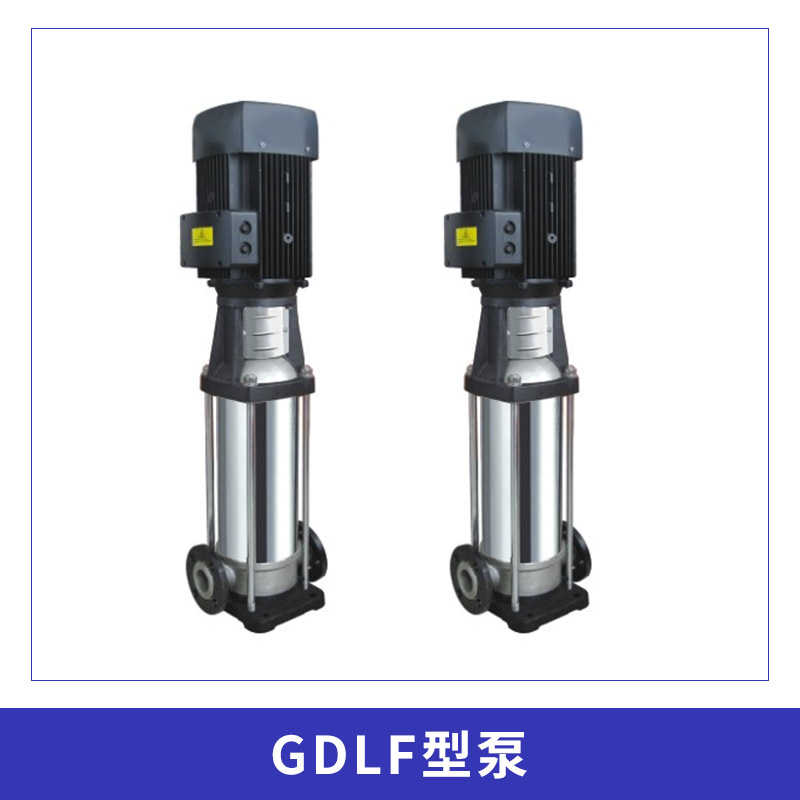 GDLF型泵圖片/GDLF型泵樣板圖 (2)