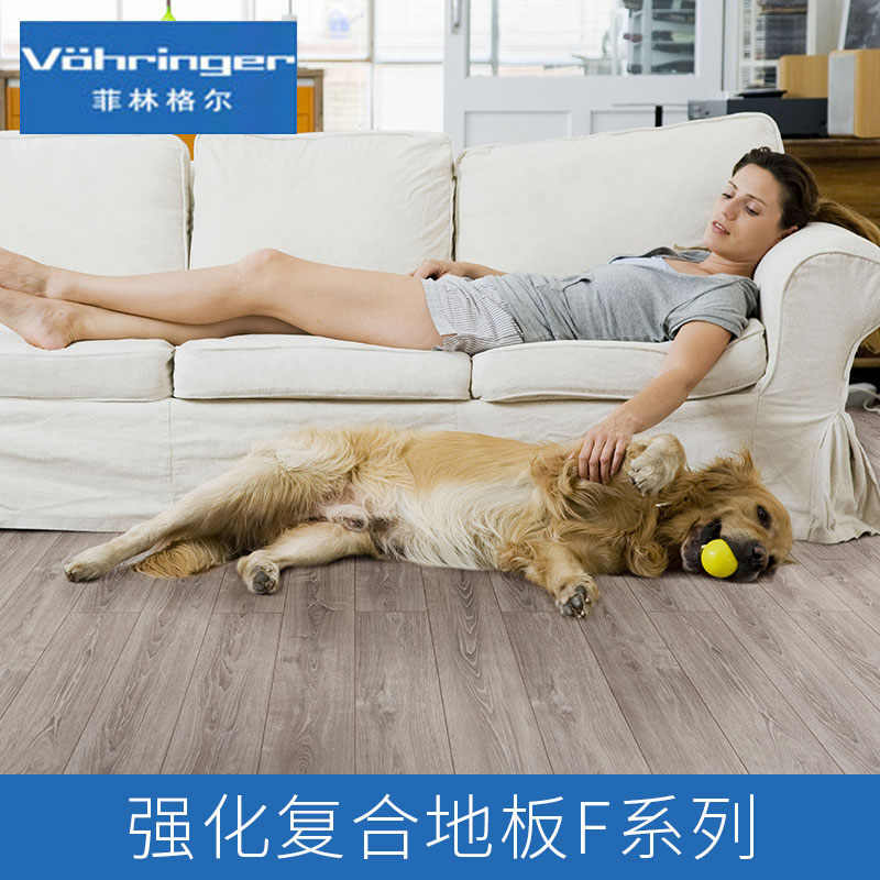 菲林格爾強(qiáng)化復(fù)合地板F系列產(chǎn)品圖片/菲林格爾強(qiáng)化復(fù)合地板F系列產(chǎn)品樣板圖 (2)