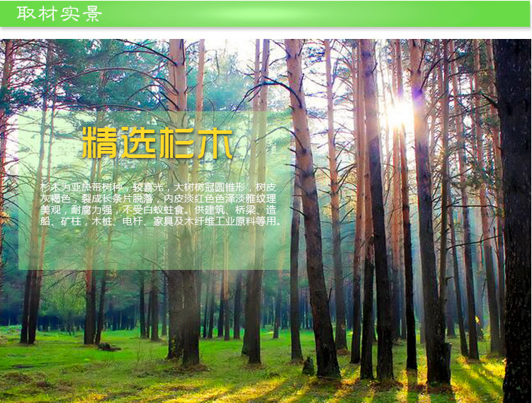 中標(biāo)十框標(biāo)準(zhǔn)巢箱圖片/中標(biāo)十框標(biāo)準(zhǔn)巢箱樣板圖 (4)