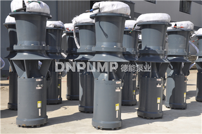 軸流泵圖片/軸流泵樣板圖 (4)