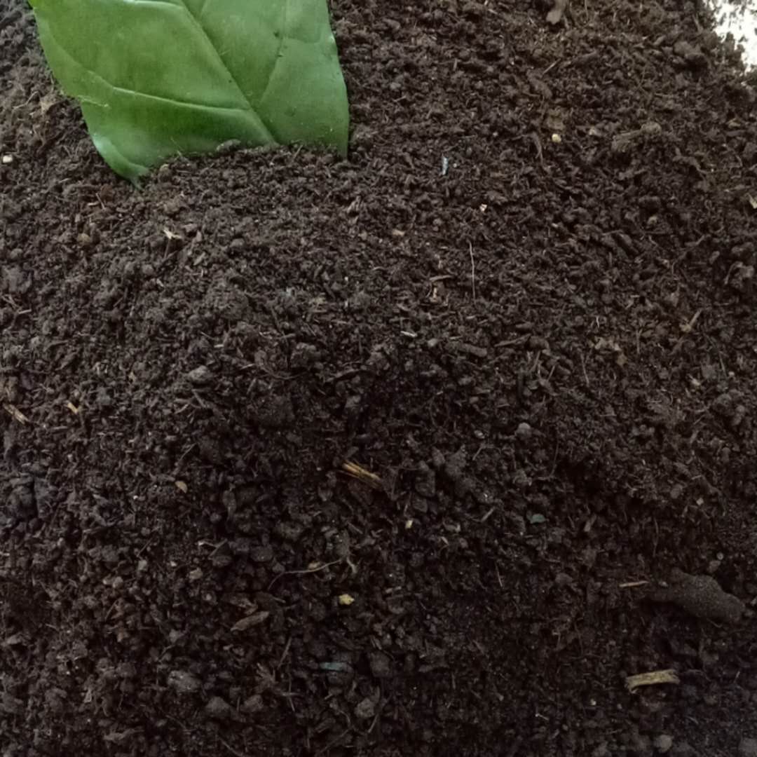 生物有機(jī)肥圖片/生物有機(jī)肥樣板圖 (1)