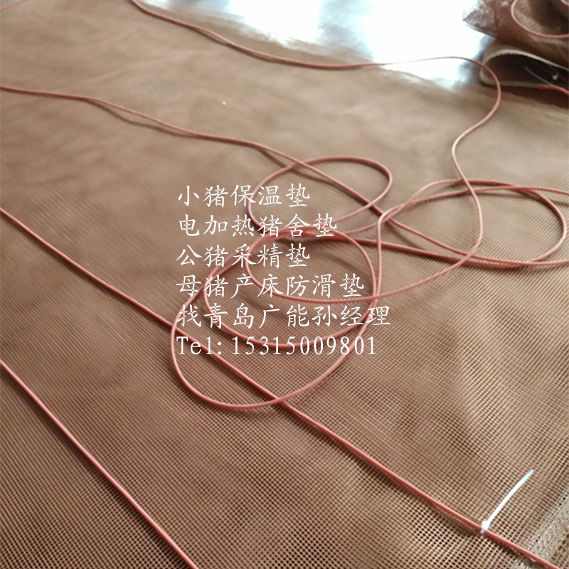 仔豬圖片/仔豬樣板圖 (4)