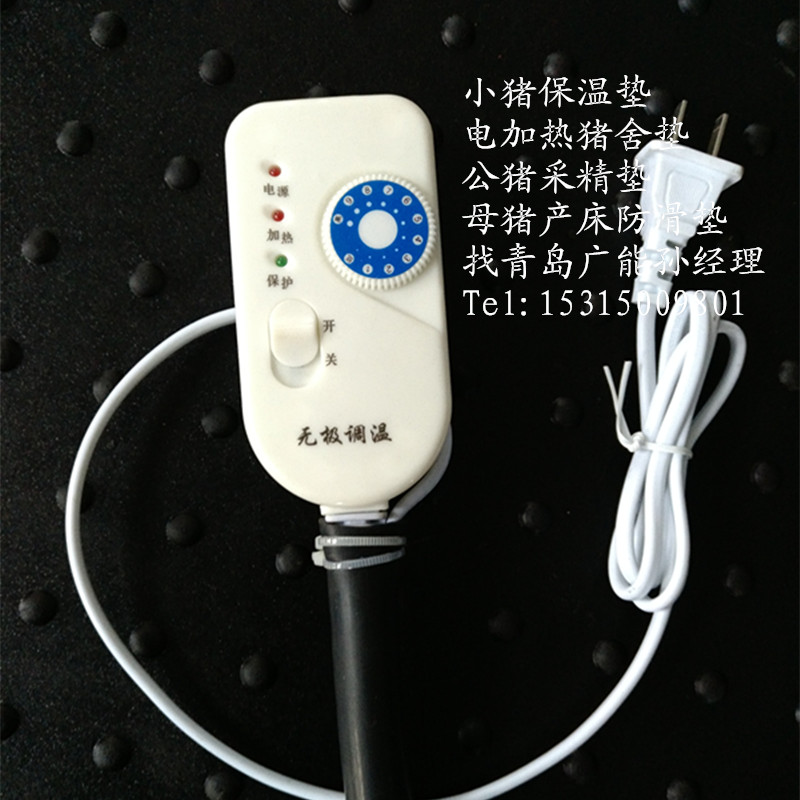 仔豬圖片/仔豬樣板圖 (3)