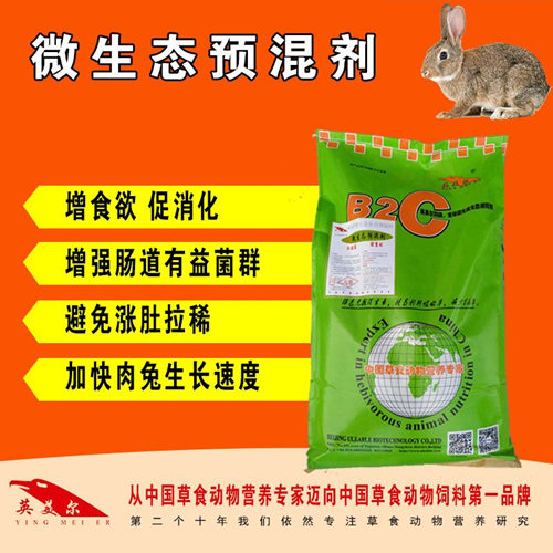 小尾寒羊育肥圖片/小尾寒羊育肥樣板圖 (2)