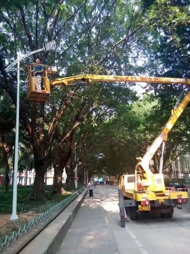 車租賃圖片/車租賃樣板圖 (4)