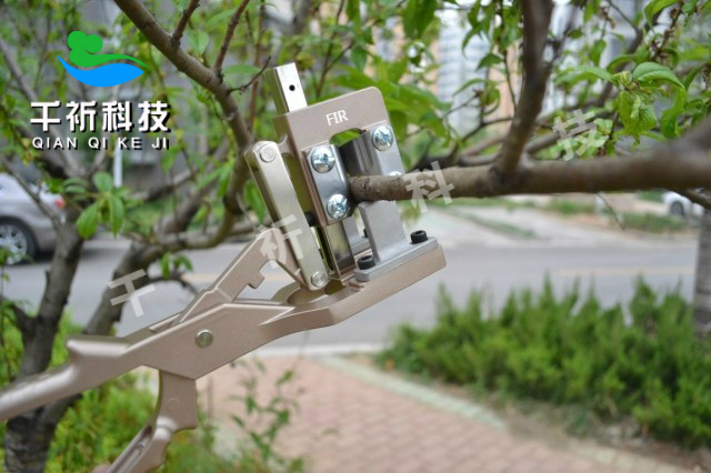 嫁接剪圖片/嫁接剪樣板圖 (4)
