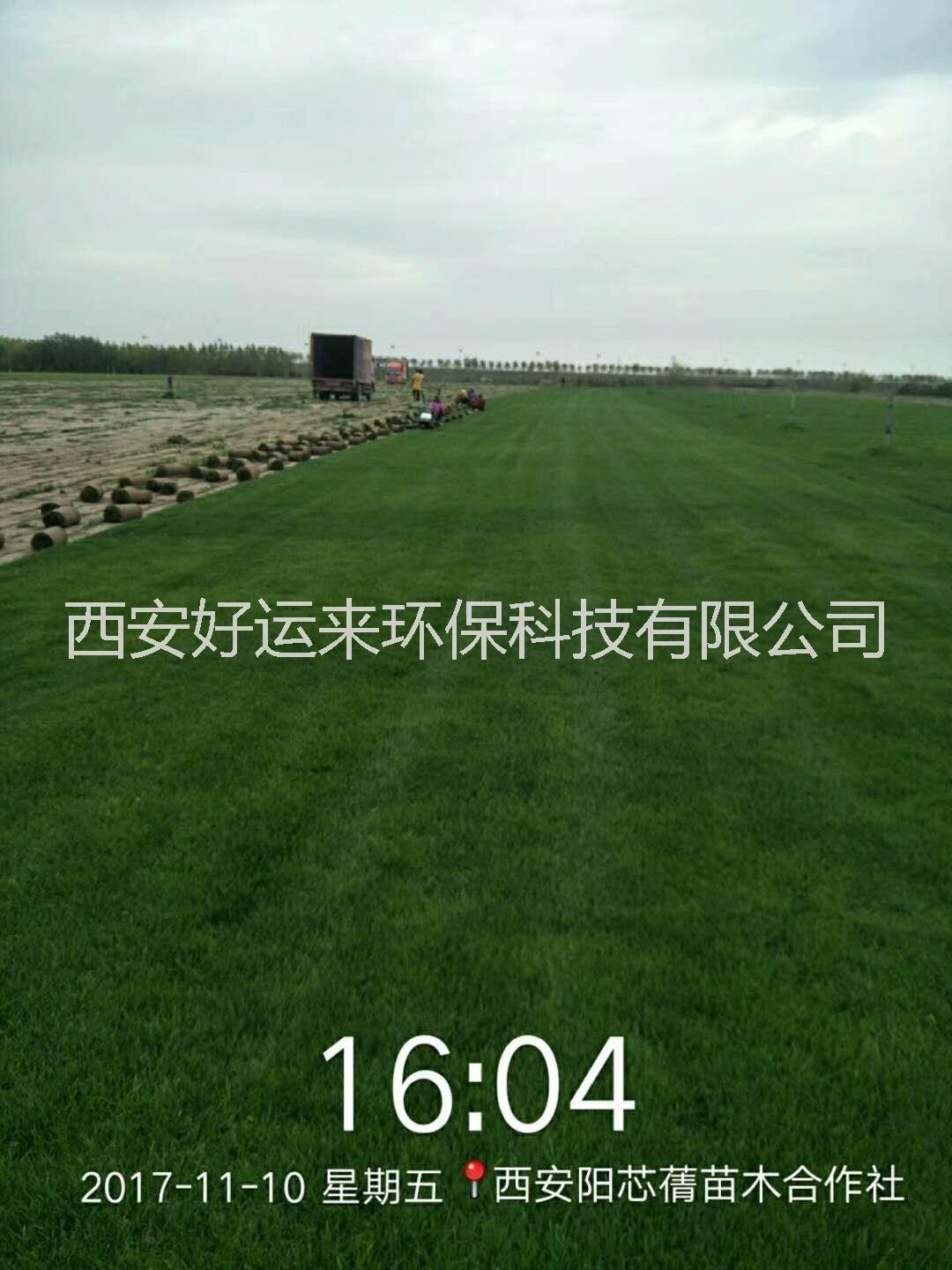 屋頂綠化圖片/屋頂綠化樣板圖 (2)