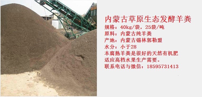 羊糞圖片/羊糞樣板圖 (1)