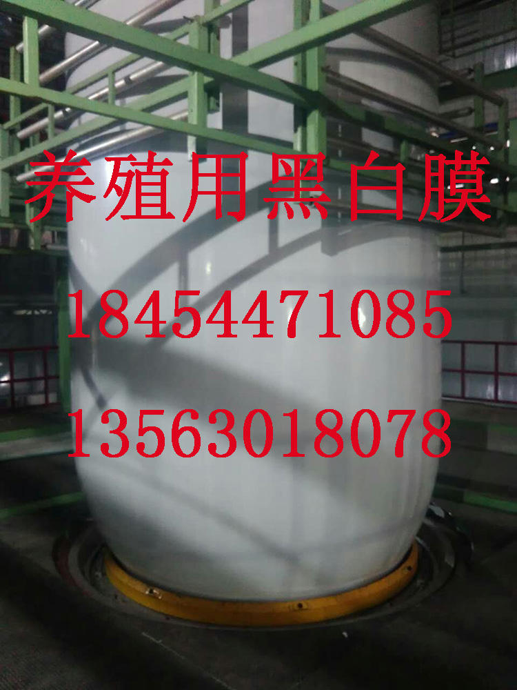 食用菌養(yǎng)殖圖片/食用菌養(yǎng)殖樣板圖 (2)