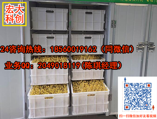 豆芽機(jī)全自動豆芽機(jī)圖片/豆芽機(jī)全自動豆芽機(jī)樣板圖 (1)