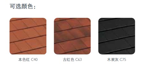 進口陶瓦圖片/進口陶瓦樣板圖 (2)