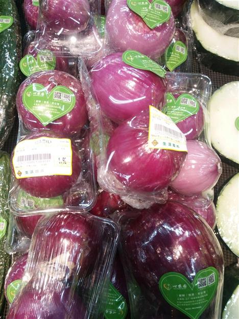 洋蔥圖片/洋蔥樣板圖 (1)