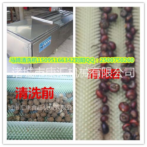 蓮藕清洗機圖片/蓮藕清洗機樣板圖 (2)