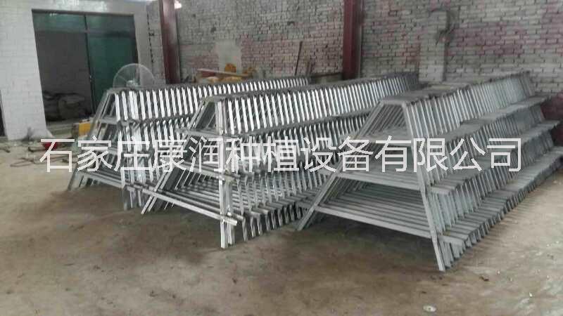 草莓種植槽圖片/草莓種植槽樣板圖 (4)