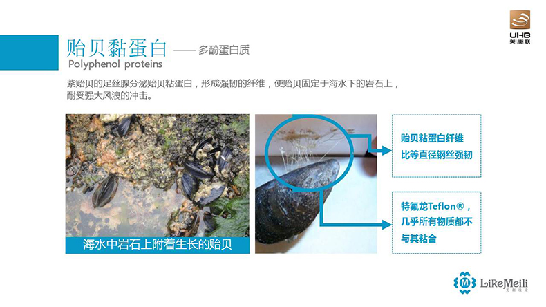 貽貝粘蛋白噴劑原液圖片/貽貝粘蛋白噴劑原液樣板圖 (3)