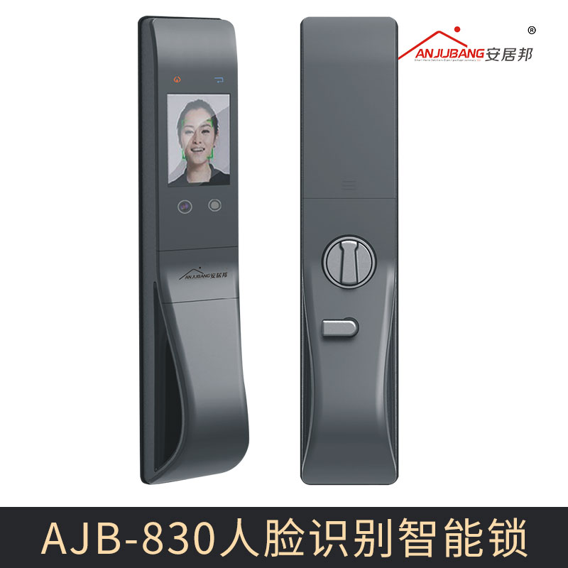 厂家直销 AJB-830人脸识别智能锁 人脸识别门锁智能锁 面部识别防盗锁图片