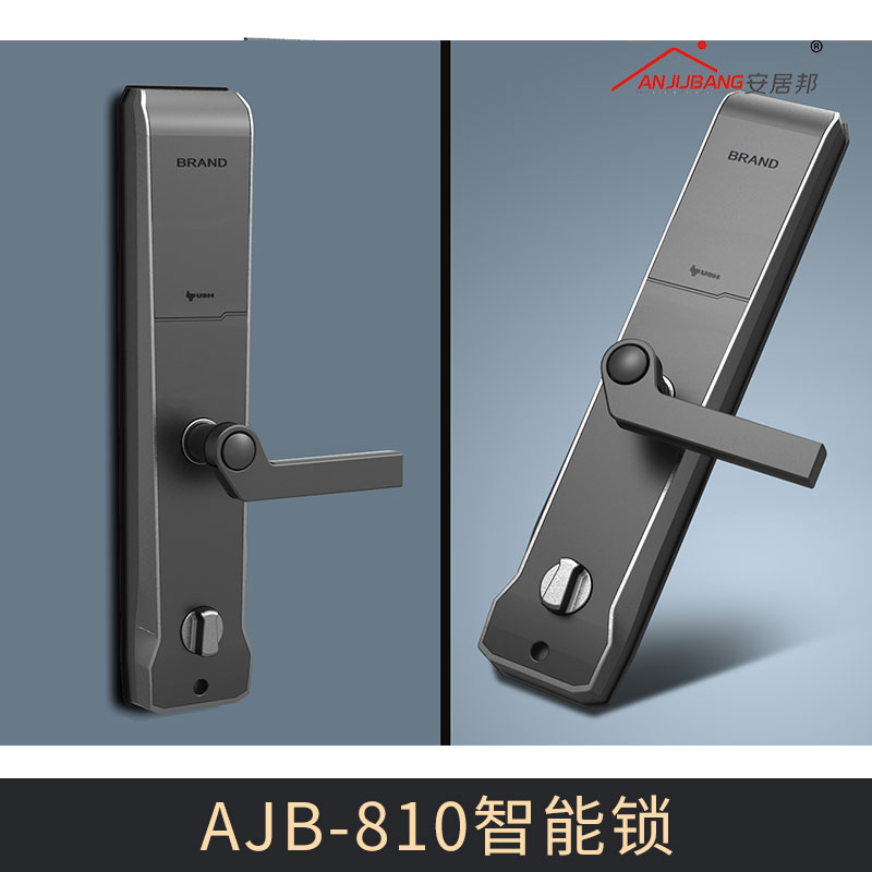 厂家密码智能锁电子锁防盗门家用 AJB-810智能锁图片