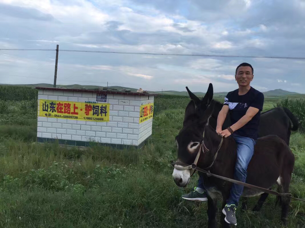 在路上驢飼料 山東在路上驢飼料 山東在路上驢飼料，好驢飼料 新疆在路上驢飼料，好驢飼料