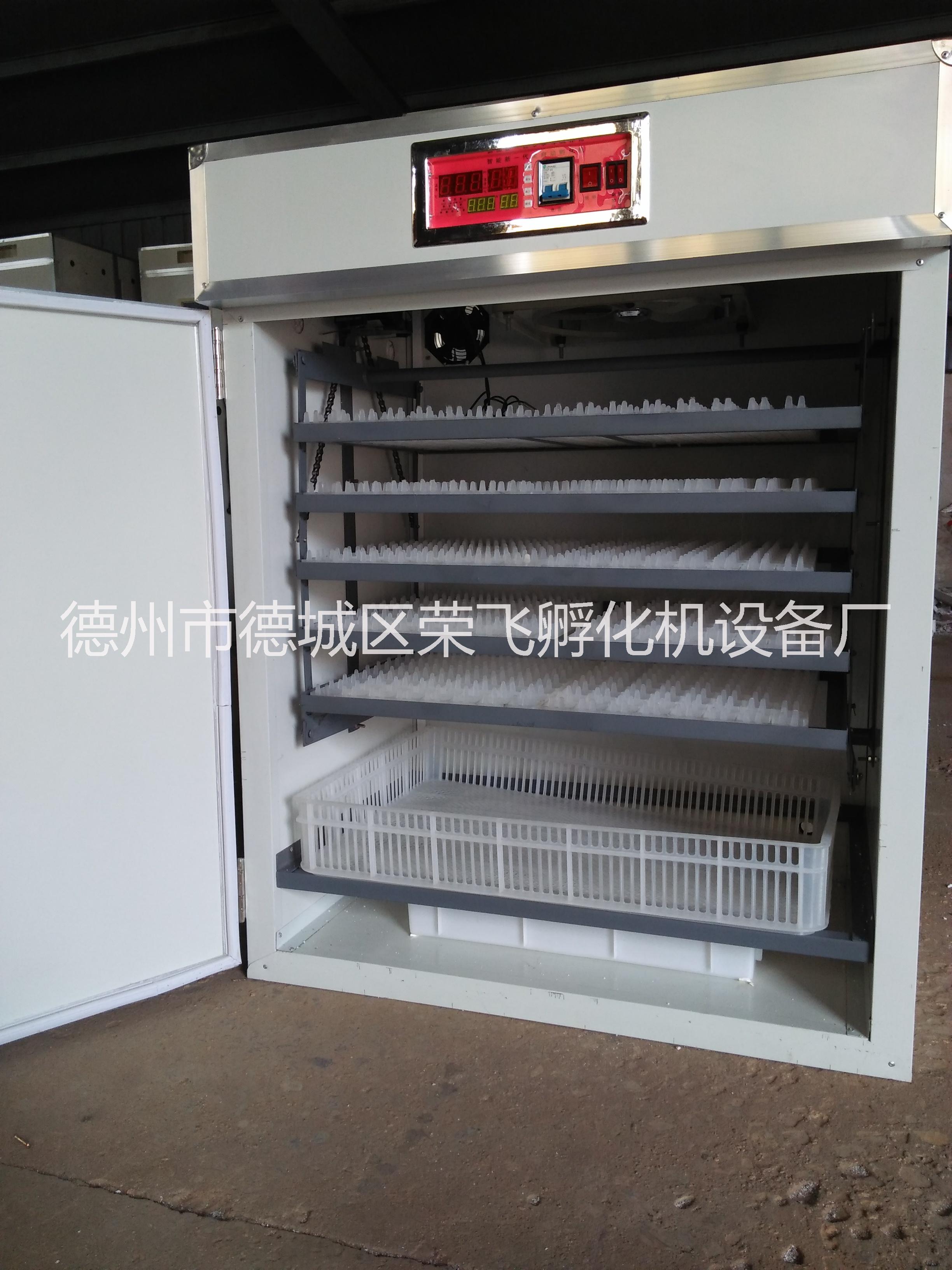 德州德城區(qū)榮飛孵化機(jī)圖片/德州德城區(qū)榮飛孵化機(jī)樣板圖 (4)