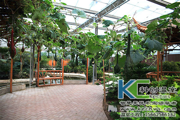 生態(tài)餐廳溫室大棚造價分析圖片