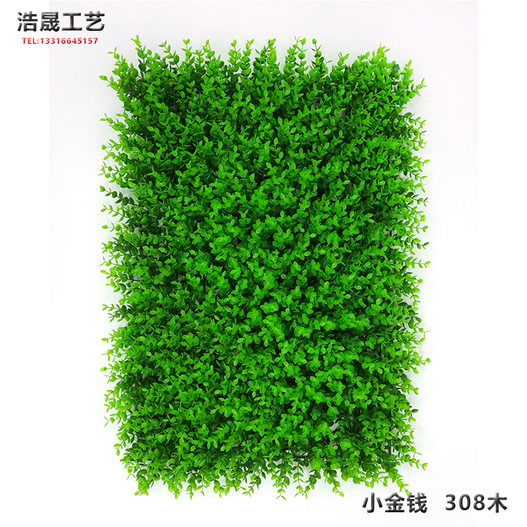 草皮圖片/草皮樣板圖 (2)