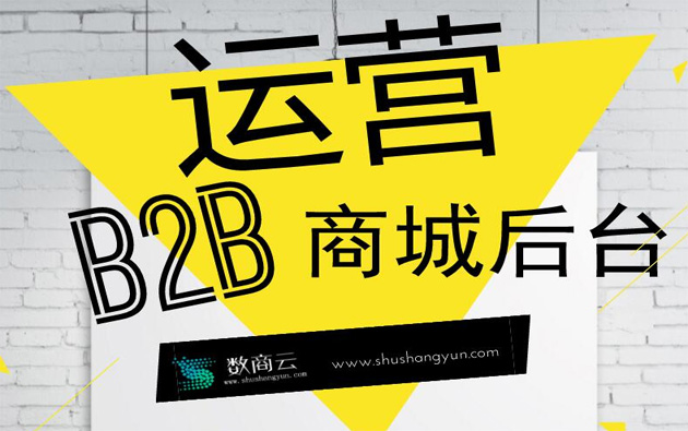 b2b采购行业管理系统定制费用图片