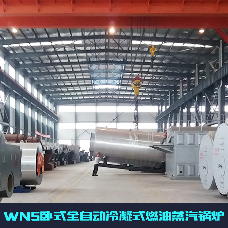 山東高效工業(yè)鍋爐圖片/山東高效工業(yè)鍋爐樣板圖 (3)