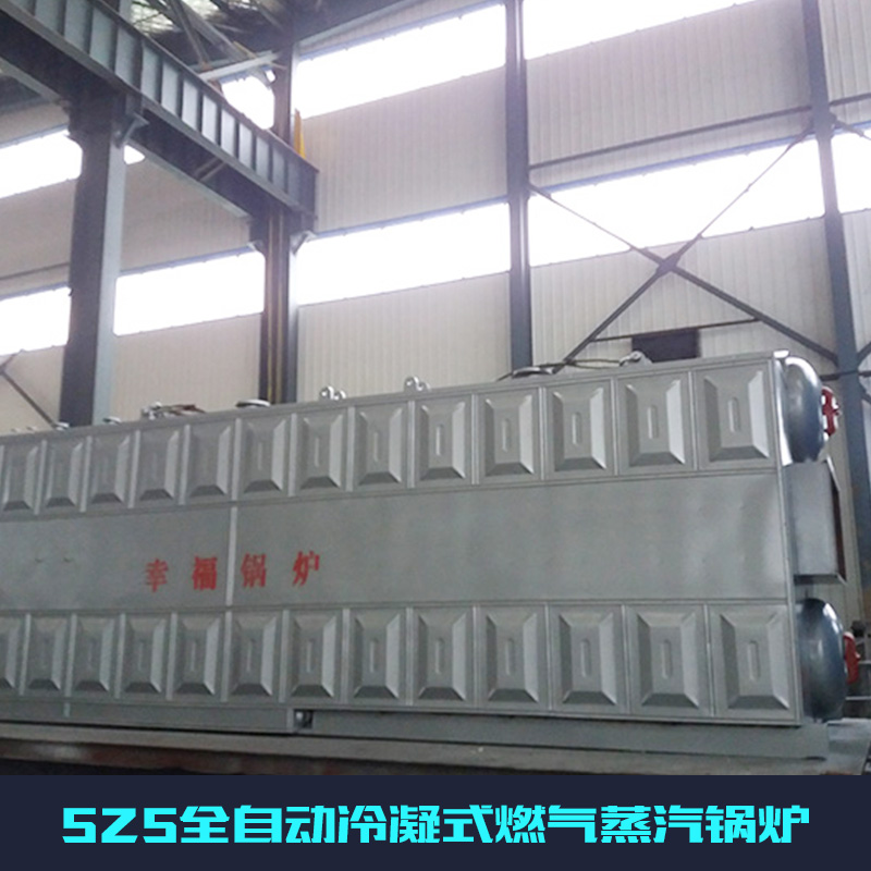 燃?xì)庹羝仩t圖片/燃?xì)庹羝仩t樣板圖 (3)