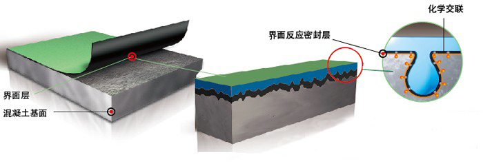 反應(yīng)粘結(jié)型高分子濕鋪防水卷材圖片/反應(yīng)粘結(jié)型高分子濕鋪防水卷材樣板圖 (2)