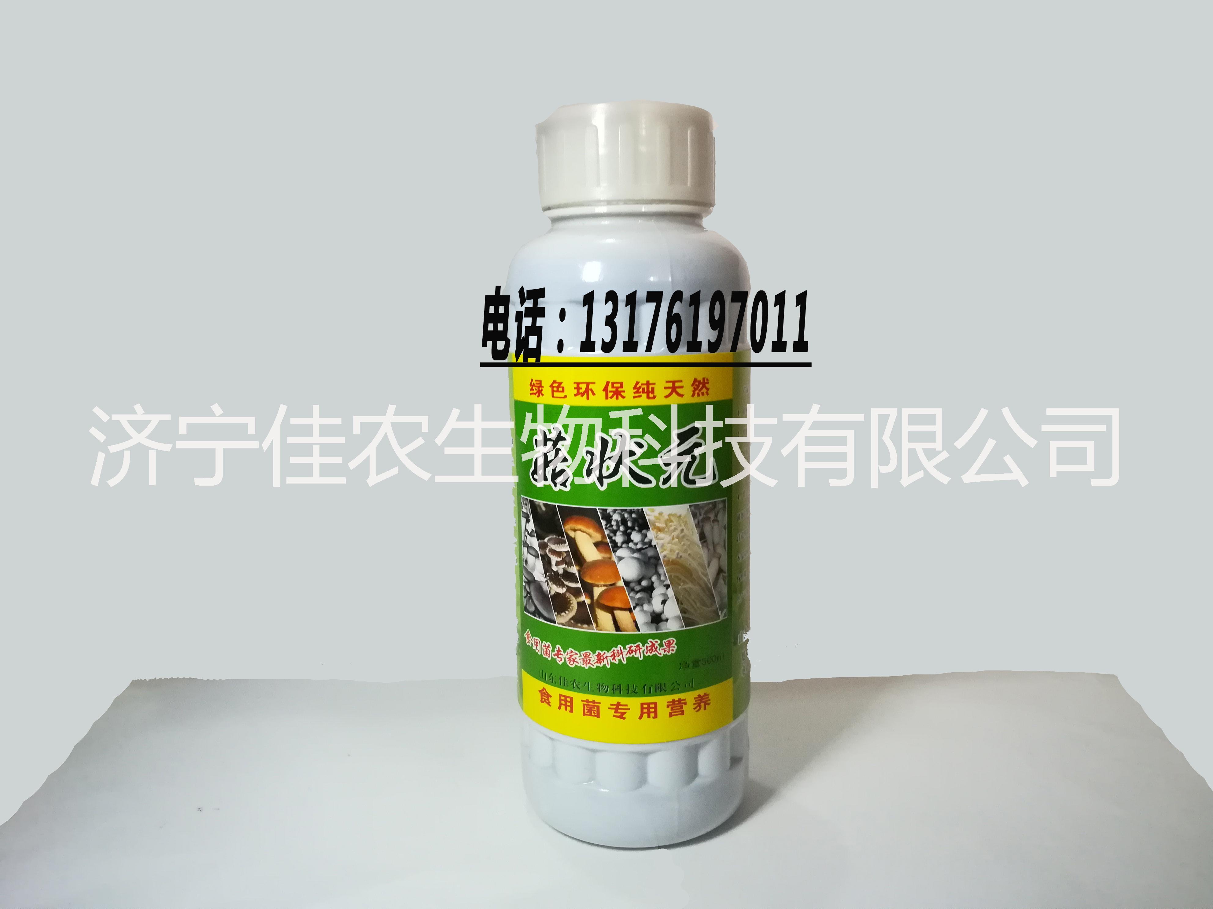 生產批發(fā)【菇狀元】食用菌大棚批發(fā)圖片