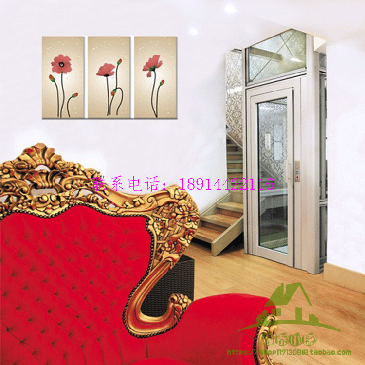 別墅電梯圖片/別墅電梯樣板圖 (2)