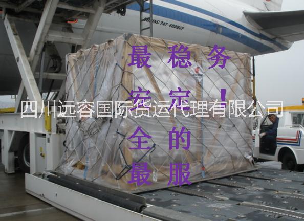 UPS&DHL&FEDEX圖片/UPS&DHL&FEDEX樣板圖 (2)