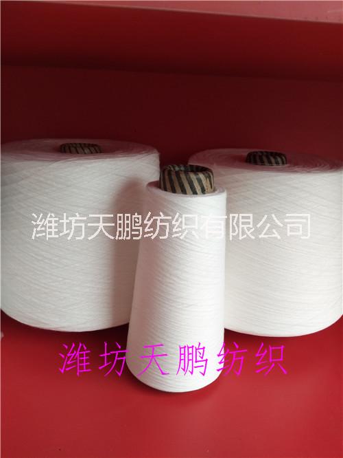 棉包芯紗圖片/棉包芯紗樣板圖 (1)