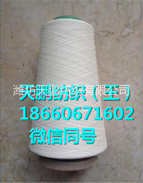 棉包芯紗圖片/棉包芯紗樣板圖 (1)