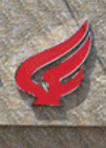 有機(jī)肥篩分機(jī)圖片/有機(jī)肥篩分機(jī)樣板圖 (4)